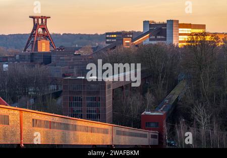 Zeche Zollverein, Doppelbock Fördergerüst Schacht 12, Kohlenwäsche mit dem Ruhr Museum, Bandbrücken, Blick von der Mischanlage der Kokerei, Essen, NRW, Deutschland, Zollverein *** mine Zollverein, double tréteau headframe 12, usine de lavage du charbon avec le Ruhr Museum, ponts convoyeurs, vue depuis l'usine de mélange de la cokerie de la cokerie de la cokerie de la cokerie, Essen Allemagne, mine de Zollverein Banque D'Images