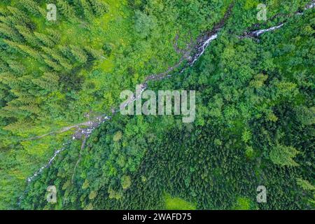 Un petit ruisseau qui coule du sommet des Carpates, vue générale du drone. Montagnes d'été Banque D'Images