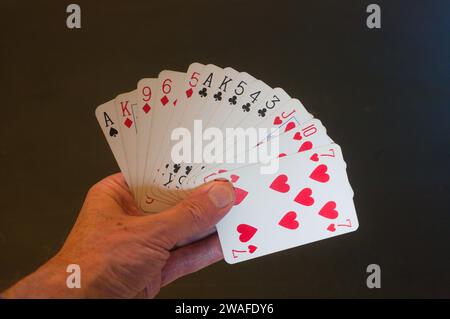 main de bridge déséquilibrée avec 13 cartes et 16 points triés en couleurs Banque D'Images