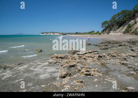 Personnes prenant une pagaie dans la mer sur la plage de long Bay, le golfe de Hauraki, Auckland, Nouvelle-Zélande. L'île volcanique de Rangitoto peut être vue dans le d Banque D'Images