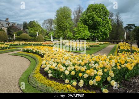 Bordures de règles jaunes dans les jardins formels de Waddesdon Manor, Aylesbury, Buckinghamshire, Angleterre Banque D'Images