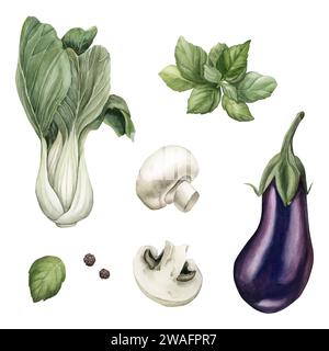 Ensemble de légumes frais : aubergine, Bok Choy, champignons, feuilles de basilic, graines de poivre noir. Illustration aquarelle peinte à la main isolé sur fond blanc Banque D'Images