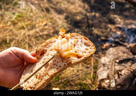 Une main d'homme tient une tranche de pain grillé avec du bacon frit un feu ouvert dans la nature, slanina,nourriture traditionnelle en Roumanie Banque D'Images