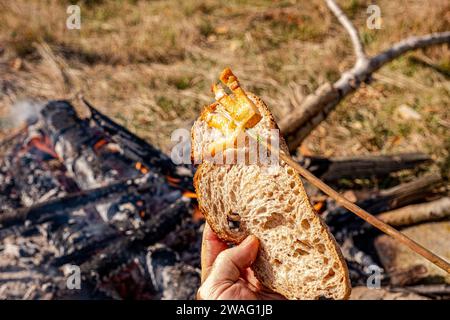 Une main d'homme tient une tranche de pain grillé avec du bacon frit un feu ouvert dans la nature, slanina,nourriture traditionnelle en Roumanie Banque D'Images