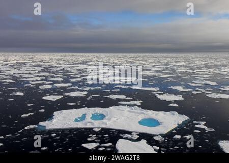 Vue aérienne au-dessus de la glace de mer / glace de dérive / banquises avec des étangs de fonte contenant de l'eau douce dans l'océan Arctique, Nordaustlandet, Svalbard / Spitzberg Banque D'Images