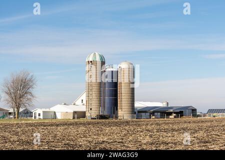 Vieux bâtiments agricoles, y compris des silos à grains et des granges, dans le comté rural de Livingston. Illinois, États-Unis. Banque D'Images