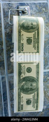 Papier toilette pour les billets de banque en rouleau d'argent dans la salle de bains Banque D'Images