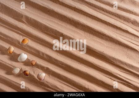 Fond de sable de plage avec coquillages et dunes de sable. Gros plan, concept de vacances d'été, fond abstrait et texture pour la conception, vue de dessus, copyspac Banque D'Images