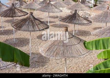 Parasols de plage Reed. Rangée de parasols sur une plage d'été. Parapluies de paille, palmiers. Personne, espace de copie pour le texte, photo de voyage Banque D'Images