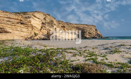 Taqah, salalah- 12 décembre 2023 : VUE de la plage de taqah à salalah, Taqah est une province et une ville côtière dans le gouvernorat de Dhofar, dans le sud-ouest d'Oman Banque D'Images