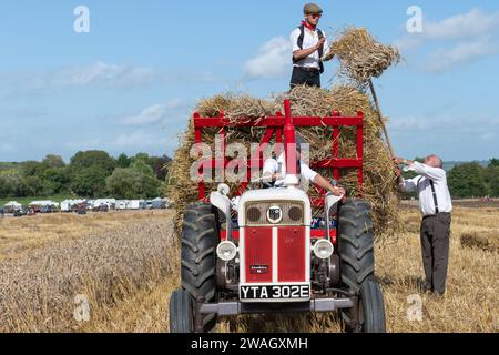 Drayton.Somerset.United kingdom.August 19th 2023.Entusiasts chargent des paquets de paille sur une remorque tirée par un David Brown Selectamatic 990 Banque D'Images