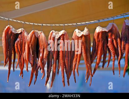 Poulpes fraîchement pêchées, accrochées à sec, Grèce, Cyclades, Paros Banque D'Images