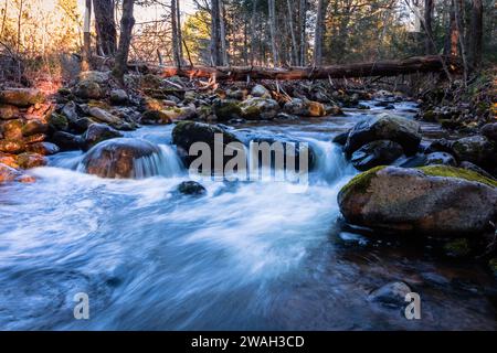 La forêt d'État de Stokes dans le comté de Sussex, NJ, Flatbrook longe la Blue Mountain Trail en fin d'après-midi au début de l'hiver Banque D'Images