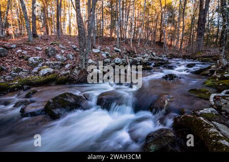 La forêt d'État de Stokes dans le comté de Sussex, NJ, Flatbrook longe la Blue Mountain Trail en fin d'après-midi au début de l'hiver Banque D'Images