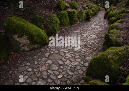 Hohle Gasse, ravin artificiel entre Immensee et Kuessnacht am Rigi SZ, drame Wilhelm Tell de Friedrich Schiller, canton de Schwyz, Suisse Banque D'Images