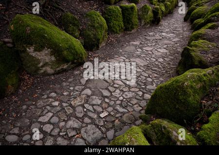 Hohle Gasse, ravin artificiel entre Immensee et Kuessnacht am Rigi SZ, drame Wilhelm Tell de Friedrich Schiller, canton de Schwyz, Suisse Banque D'Images