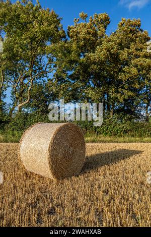 Un paysage rural du Sussex avec une balle de paille dans un champ sous un ciel bleu Banque D'Images