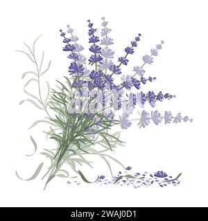 Un arrangement floral de fleurs de lavande sous la forme d'un bouquet pour la conception de cartes postales, invitations et autres affiches. Illustration de Vecteur
