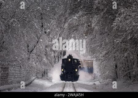 Budapest, Hongrie - Belle scène de forêt d'hiver avec neige, forêt enneigée et vieux moteur de réservoir nostalgique (train pour enfants) sur la piste dans la Buda Banque D'Images