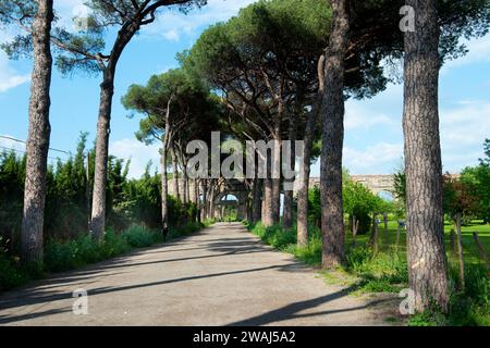 Parc des aqueducs - Rome - Italie Banque D'Images