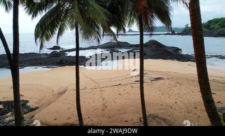 Cette superbe image montre une plage de sable blanc et gris clair, encadrée par plusieurs grands palmiers, Sao Tomé, Afrique Banque D'Images