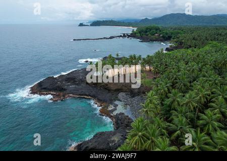 Une île tropicale pittoresque entourée de palmiers verdoyants et d'eaux bleues turquoises, offrant une toile de fond magnifique pour tout projet Banque D'Images