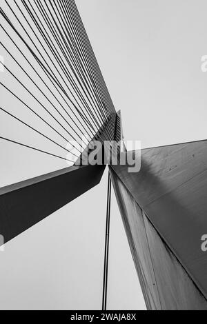 Perspective ascendante en noir et blanc de la structure de câble du pont Erasmus à Rotterdam, pays-Bas Banque D'Images