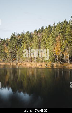 Paysage pittoresque de lac sombre réfléchissant calme par de grands arbres d'automne et la forêt contre un ciel bleu sans nuages par jour lumineux dans le parc national de Stockholm S. Banque D'Images