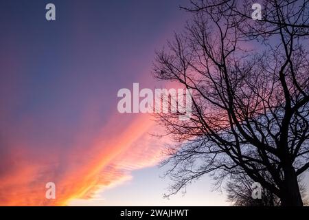 L’image est un rendu poétique du ciel au crépuscule, où des nuages traînent sur la toile dans des tons de rose et de violet, bordés de l’orange ardent du soleil couchant. La silhouette d'un arbre sans feuilles contraste fortement avec le ciel vibrant, ses branches complexes gravées contre la lumière décroissante. La photo capture le moment fugace de la transition du jour à la nuit, reflétant le dernier éclat de couleur et d'énergie de la journée avant le début du calme crépusculaire. Sky's Canvas : Dusk's Brushstroke. Photo de haute qualité Banque D'Images