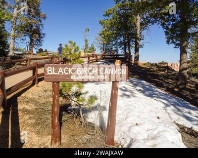 Panneau de point de vue Black Birch Canyon dans le parc national de Bryce Canyon, États-Unis. Lumière du jour de printemps brillante, ciel bleu. Parcelle de neige dans la forêt. Banque D'Images