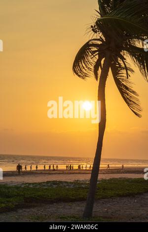 Taqah, salalah- 12 décembre 2023 : personnes jouant au football sur la plage au coucher du soleil Banque D'Images