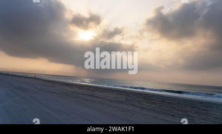 Plage de haffa , salalah- décembre 12, 2023:beaucoup de cocotiers à la magnifique plage al haffa à salalah pendant le lever du soleil, Oman, officiellement le Sultanat d'Om Banque D'Images