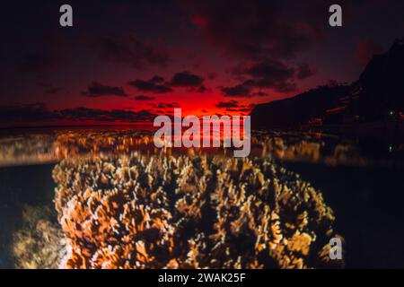 Paysage marin tropical avec corail sous-marin et coucher de soleil lumineux coloré ou lever du soleil sur le bord de la mer, vue partagée avec lumière artificielle en Polynésie française Banque D'Images