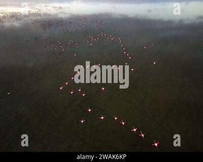 (240105) -- PÉKIN, 5 janv. 2024 (Xinhua) -- cette photo aérienne prise le 26 février 2023 montre des flamants roses planant au-dessus d'un lac près d'Ankara, T¨¹rkiye. (Mustafa Kaya/document via Xinhua) Banque D'Images