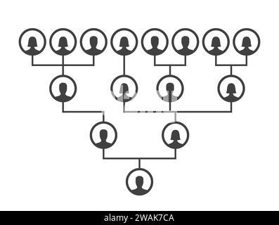 Modèle de diagramme d'arbre généalogique, de pedigree ou d'ascendance. Icônes d'arbre généalogique familial infographie avatars portraits dans des cadres circulaires reliés par des lignes. Illustration de Vecteur