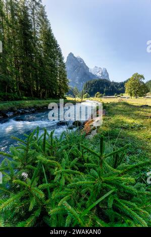 Paysage pittoresque de Rusenlaui avec des alpes suisses bien en corne et rivière Reichenbach coulant en été sur une journée ensoleillée dans les Alpes bernoises à Berne, Suisse Banque D'Images