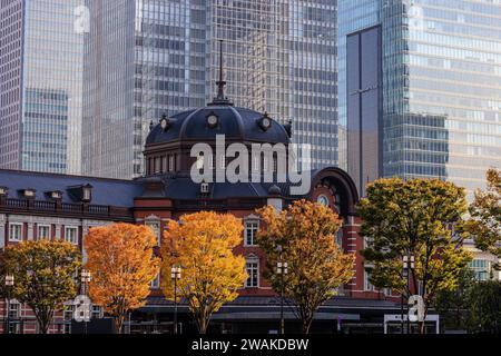 feuillage d'automne coloré sur une ligne d'arbres devant la façade en briques de l'entrée de hte marunouchi à la gare de tokyo Banque D'Images