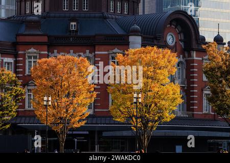 feuillage d'automne coloré sur une ligne d'arbres devant la façade en briques de l'entrée de hte marunouchi à la gare de tokyo Banque D'Images
