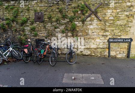 Vélos garés contre un mur de pierre à Brasenose Lane, Oxford, Angleterre Banque D'Images