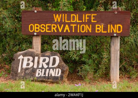 Aveugles d'oiseaux signe, South Llano River State Park, Texas Banque D'Images