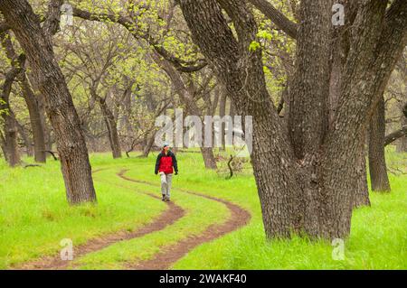 Buck Lake Trail, South Llano River State Park, Texas Banque D'Images