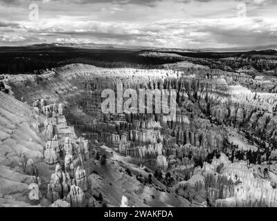 L'un des amphithéâtres remplis de Hoodoo du parc national de Bryce Canyon en Noir et blanc Banque D'Images