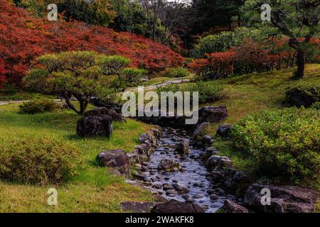 un petit ruisseau courant dans un canal dans le jardin japonais isuien de nara avec des feuilles automnales rouges Banque D'Images