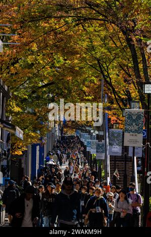 des foules de clients dans la rue animée d'omotesando sous le feuillage d'automne coloré des ormes faisant du shopping dans les boutiques de luxe et les cafés branchés de tokyo Banque D'Images