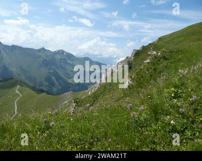 Vue panoramique en randonnée sur le sentier Fürstin Gina près de Malbun au Liechtenstein Banque D'Images