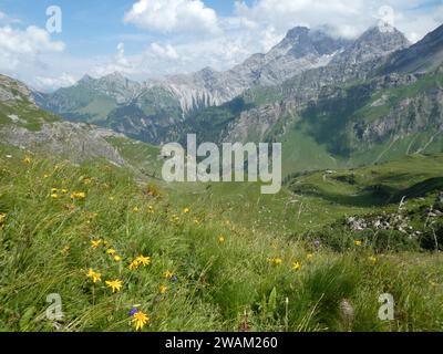 Vue panoramique en randonnée sur le sentier Fürstin Gina près de Malbun au Liechtenstein Banque D'Images