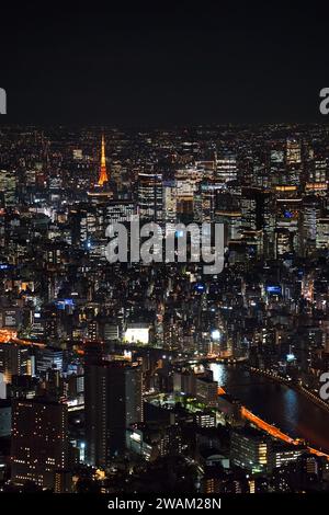 Vue aérienne sur la métropole de Tokyo avec sa tour, ses bâtiments, ses gratte-ciel, la rivière Sumida et la tour de Tokyo illuminées la nuit, Japon Banque D'Images
