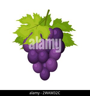 Grappe de raisins de vin avec des feuilles isolées sur fond blanc. Icône de raisin dans le style de dessin animé plat. Baies fraîches, matières premières fruits. Illustration vectorielle Illustration de Vecteur