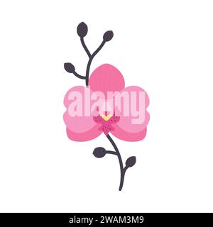 Fleur d'orchidée rose dessinée à la main avec branche. Style plat. Illustration vectorielle Illustration de Vecteur