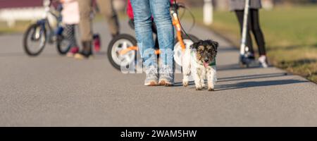 Jeune famille va se promener avec leurs petits enfants et laisse avec leur chien Jack Russell Terrier. Banque D'Images